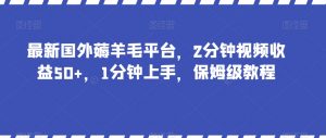 最新国外薅羊毛平台，2分钟视频收益50+，1分钟上手，保姆级教程【揭秘】-网赚36计
