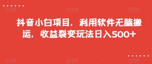 抖音小白项目，利用软件无脑搬运，收益裂变玩法日入500+【揭秘】-网赚36计