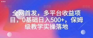 全网首发，多平台收益项目，0基础日入500+，保姆级教学实操落地【揭秘】-网赚36计