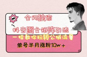 全网独家抖音图文矩阵引流，一招教你玩转公域流量，单号半月涨粉10w+【揭秘】-网赚36计