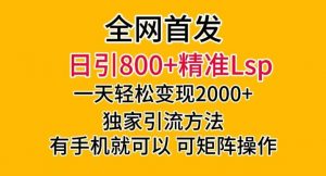 全网首发！日引800+精准老色批，一天变现2000+，独家引流方法，可矩阵操作【揭秘】-网赚36计