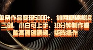 单条作品变现5000+、外网视频搬运二创，小白可上手，10分钟制作爆款高原创视频，矩阵操作【揭秘】-网赚36计