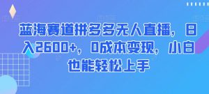 蓝海赛道拼多多无人直播，日入2600+，0成本变现，小白也能轻松上手【揭秘】-网赚36计