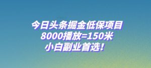今日头条掘金低保项目，8000播放=150米，小白副业首选【揭秘】-网赚36计