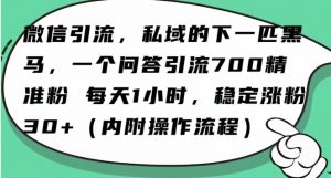 怎么搞精准创业粉?微信新赛道,每天一小时,利用Ai一个问答日引100精准粉-网赚36计
