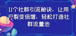 11个社群引流秘诀,让用户裂变倍增,轻松打造社群流量池-网赚36计