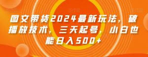 图文带货2024最新玩法，破播放技术，三天起号，小白也能日入500+【揭秘】-网赚36计