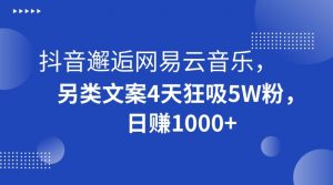 抖音邂逅网易云音乐，另类文案4天狂吸5W粉，日赚1000+【揭秘】-网赚36计