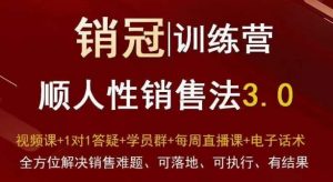 爆款！销冠训练营3.0之顺人性销售法，全方位解决销售难题、可落地、可执行、有结果-网赚36计