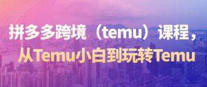 拼多多跨境（temu）课程，从Temu小白到玩转Temu-网赚36计