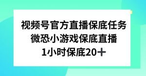 视频号直播任务，微恐小游戏，1小时20+【揭秘】-网赚36计