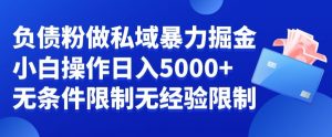 负债粉私域暴力掘金，小白操作入5000，无经验限制，无条件限制【揭秘】-网赚36计