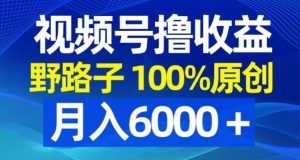 视频号野路子撸收益，100%原创，条条爆款，月入6000＋【揭秘】-网赚36计