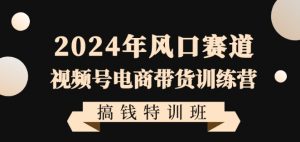 2024年风口赛道视频号电商带货训练营搞钱特训班,带领大家快速入局自媒体电商带货-网赚36计