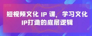 短视频文化IP课,学习文化IP打造的底层逻辑-网赚36计
