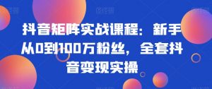 抖音矩阵实战课程:新手从0到100万粉丝,全套抖音变现实操-网赚36计