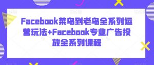 Facebook菜鸟到老鸟全系列运营玩法+Facebook专业广告投放全系列课程-网赚36计