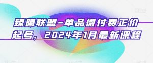 臻曦联盟-单品微付费正价起号，2024年1月最新课程-网赚36计