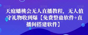 天庭蟠桃会无人直播教程，无人值守礼物收到爆【免费整蛊软件+直播间搭建软件】-网赚36计