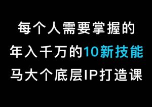 马大个的IP底层逻辑课，​每个人需要掌握的年入千万的10新技能，约会底层IP打造方法！-网赚36计