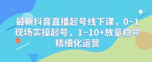 最新抖音直播起号线下课,0~1现场实操起号,1~10+放量稳号精细化运营-网赚36计