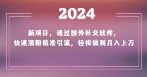2024新项目，通过国外社交软件，快速涨粉精准引流，轻松做到月入上万【揭秘】-网赚36计