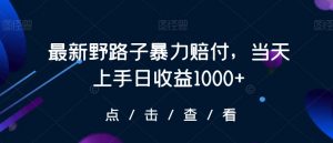 最新野路子暴力赔付，当天上手日收益1000+【仅揭秘】-网赚36计