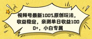 视频号最新100%原创玩法，收益稳定，亲测单日收益1000+，小白专属【揭秘】-网赚36计