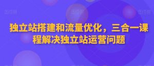 独立站搭建和流量优化,三合一课程解决独立站运营问题-网赚36计