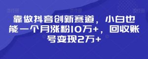 靠做抖音创新赛道,小白也能一个月涨粉10万+,回收账号变现2万+【揭秘】-网赚36计