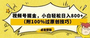 视频号掘金，小白轻松日入800+（附100%过原创技巧）【揭秘】-网赚36计