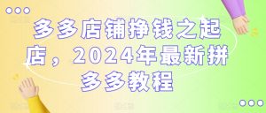 多多店铺挣钱之起店，2024年最新拼多多教程-网赚36计
