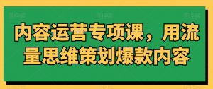 内容运营专项课，用流量思维策划爆款内容-网赚36计