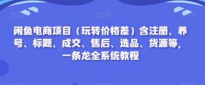 闲鱼电商项目(玩转价格差)含注册、养号、标题、成交、售后、选品、货源等,一条龙全系统教程-网赚36计
