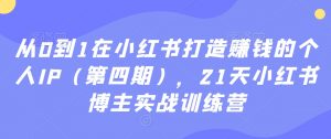从0到1在小红书打造赚钱的个人IP(第四期),21天小红书博主实战训练营-网赚36计