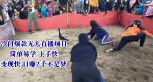 冷门爆款无人直播项目，简单易学上手快，变现快日赚2千不是梦【揭秘】-网赚36计