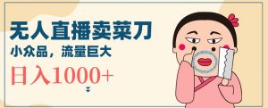 无人冷门品直播新玩法，通过卖菜刀日入1000+【揭秘】-网赚36计