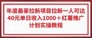 年度最豪拉新项目拉新一人可达40元单日收入1000+红薯推广计划实操教程【揭秘】-网赚36计