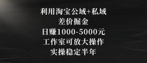 利用淘宝公域+私域差价掘金，日赚1000-5000元，工作室可放大操作，实操稳定半年【揭秘】-网赚36计