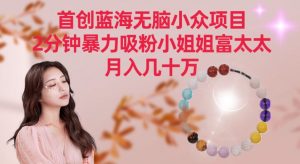 首创蓝海无脑小众项目，2分钟暴力吸粉小姐姐富太太，月入几十万【揭秘】-网赚36计