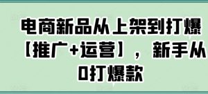 电商新品从上架到打爆【推广+运营】，新手从0打爆款-网赚36计