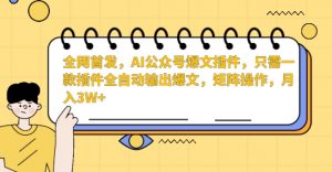 全网首发，AI公众号爆文插件，只需一款插件全自动输出爆文，矩阵操作，月入3W+【揭秘】-网赚36计