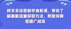 拼多多运营必学体系课，带你了解最新流量获取方法、帮助你降低推广成本-网赚36计