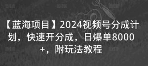 【蓝海项目】2024视频号分成计划，快速开分成，日爆单8000+，附玩法教程-网赚36计