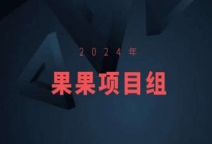 2024年果果项目组项目合集-果果最新项目-网赚36计