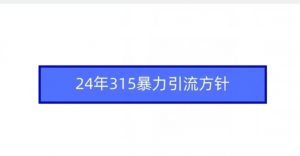 24年315暴力引流方针-网赚36计