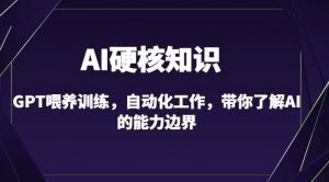 AI硬核知识-GPT喂养训练，自动化工作，带你了解AI的能力边界（10节课）-网赚36计