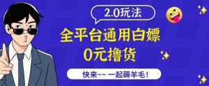 外面收费2980的全平台通用白嫖撸货项目2.0玩法【仅揭秘】-网赚36计