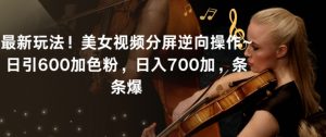 最新玩法！美女视频分屏逆向操作~日引600加色粉，日入700加，条条爆【揭秘】-网赚36计