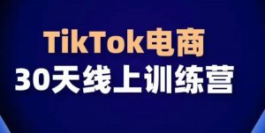 TikTok电商带货30天线上课,不可错过的全球流量洼地!-网赚36计